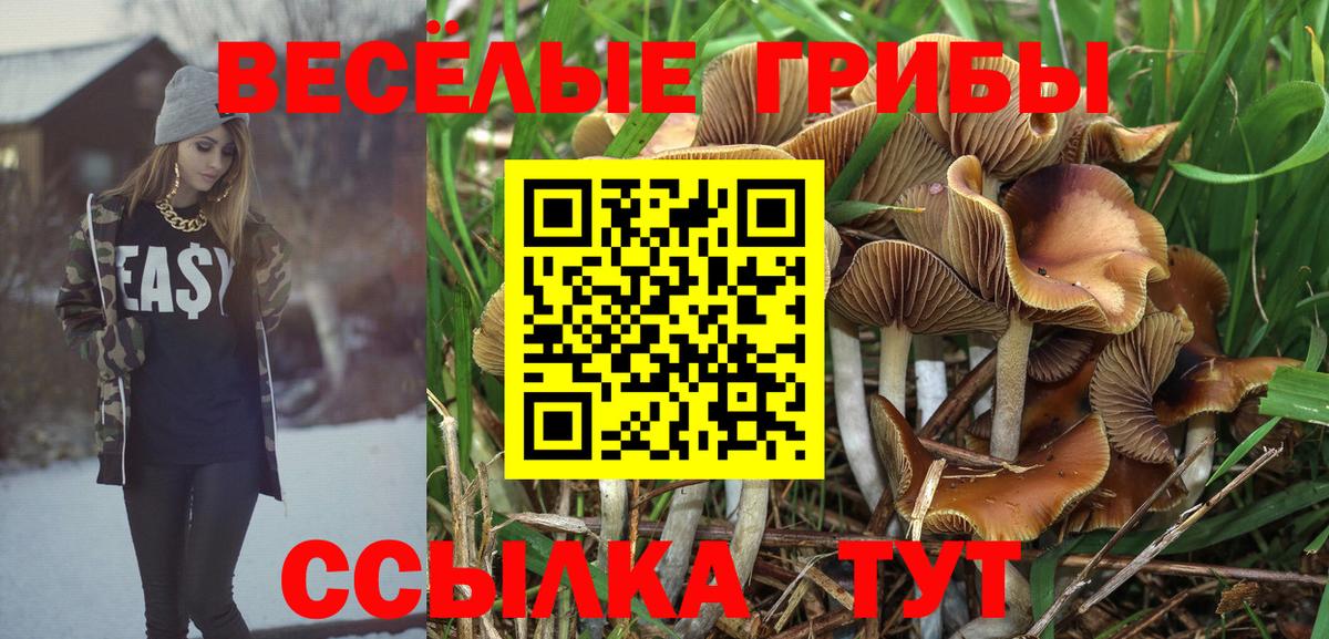 Псилоцибиновые грибы мицелий Гудермес